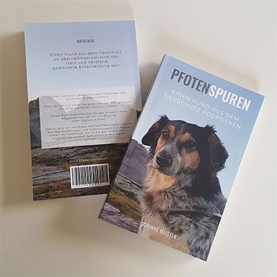 Hund aus Tierschutz übernehmen